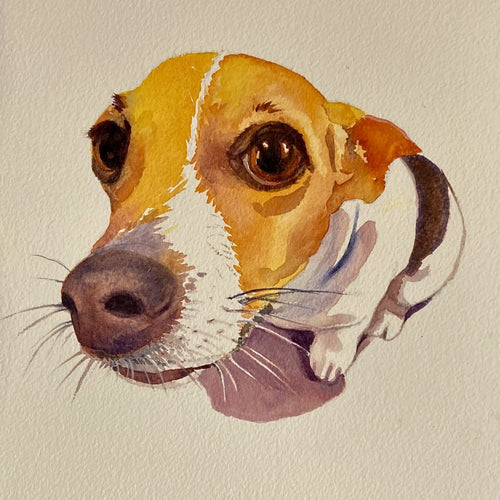 Watercolour Workshop: Painting Animals, with Robin Hicks, - 15 March - 10am -4pm