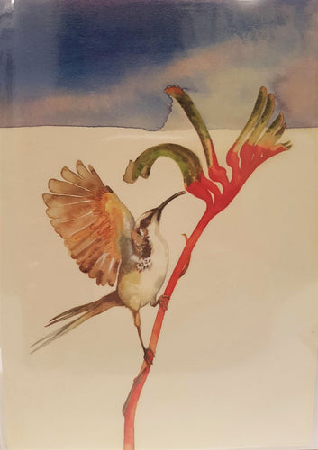 Small Card - Honeyeater and Kangaroo Paw