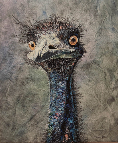 Edwina the Emu - Neva Jones