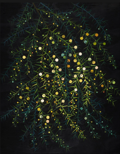 Limited Edition Print - Juniper Wattle- Irina Nazarova