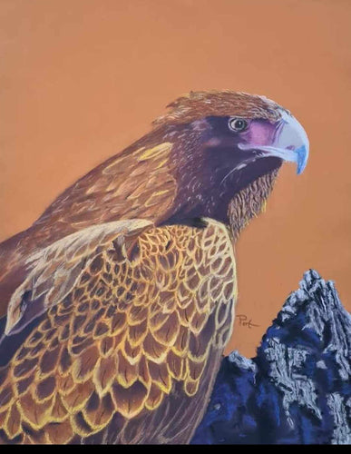 Majestic Wedgetail Eagle - pastel - Pat Williams