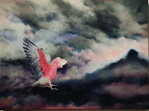 Sky Bird - Acrylic - Christine Alder