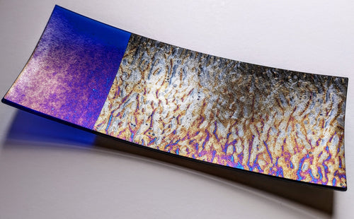 Shingleback I  - fused and kiln formed tray - Christine Byrne