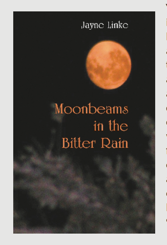 Moonbeams in the Bitter Rain